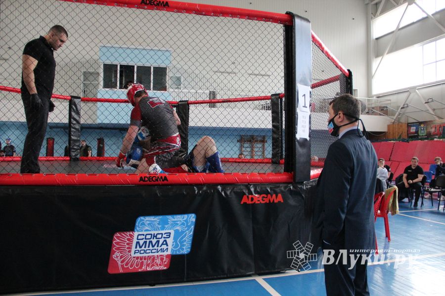 В Великих Луках прошло Первенство России по смешанному боевому единоборству (ФОТО)