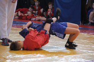 Великолучане завоевали награды турнира по самбо «Память» (ФОТО)