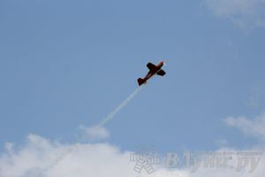 IV Фестиваль авиамодельного спорта России в классе радиоуправляемых моделей