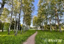 Прогноз погоды на 30 мая в Великих Луках