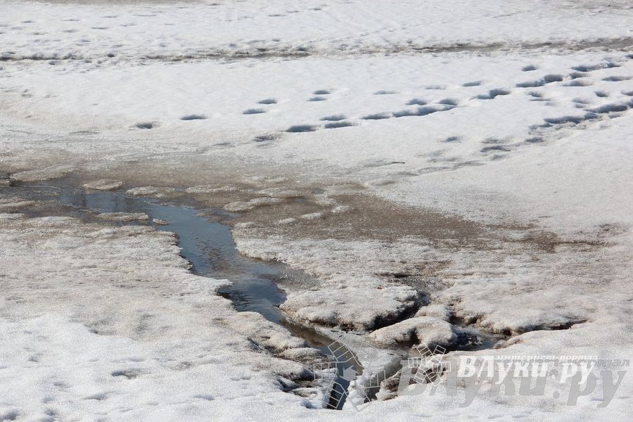 Весенний день
