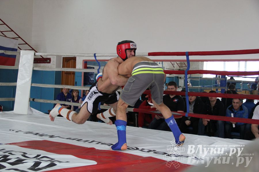 В Великих Луках прошел Чемпионат области по смешанному боевому единоборству (фото)