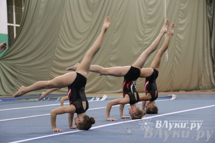 «Парад гимнастики» прошел в Великих Луках (фото)