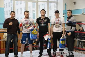 Открытый Кубок города Великие Луки по смешанному боевому единоборству (ММА)