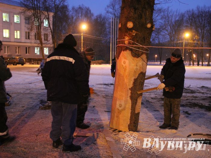 В Великих Луках установили новогоднюю елку (фото)