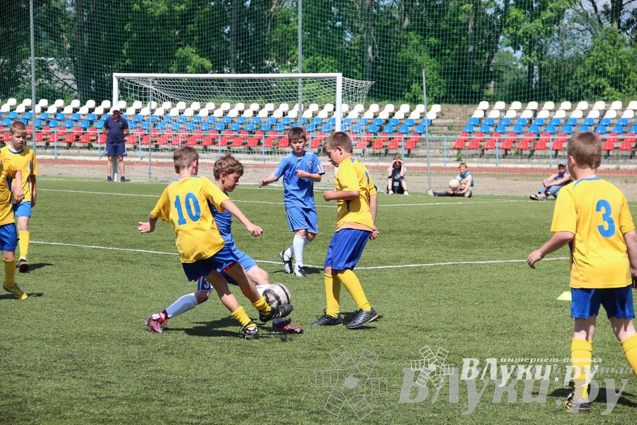 «Локобол-2013» в Великих Луках