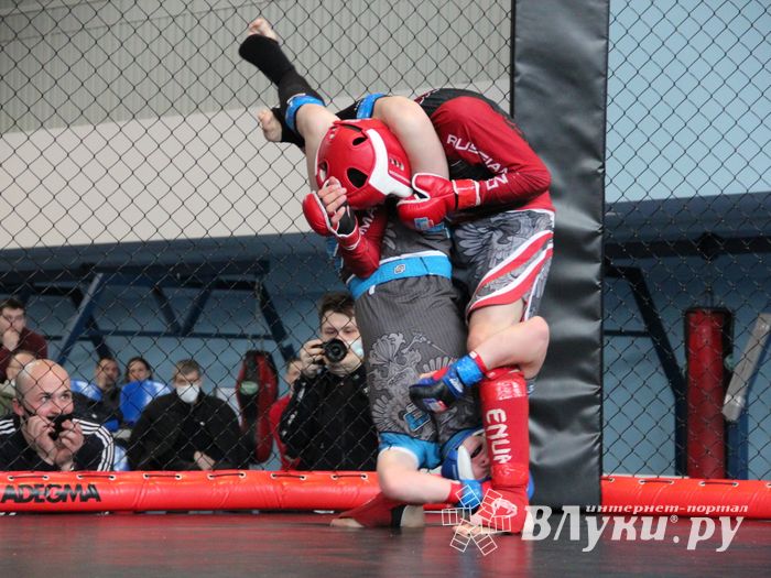 В Великих Луках прошел кубок по смешанному боевому единоборству (ФОТО)