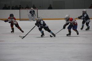 Товарищескике хоккейные игры между детскими командами прошли в Великих Луках (ФОТО)