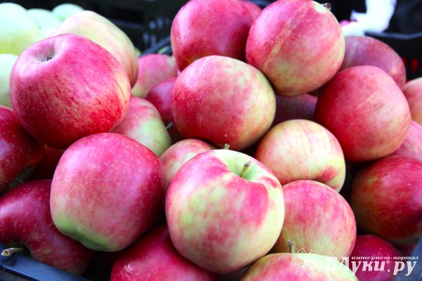 Завтра в Великих Луках пройдёт ярмарка «Осень-2024» (0+)