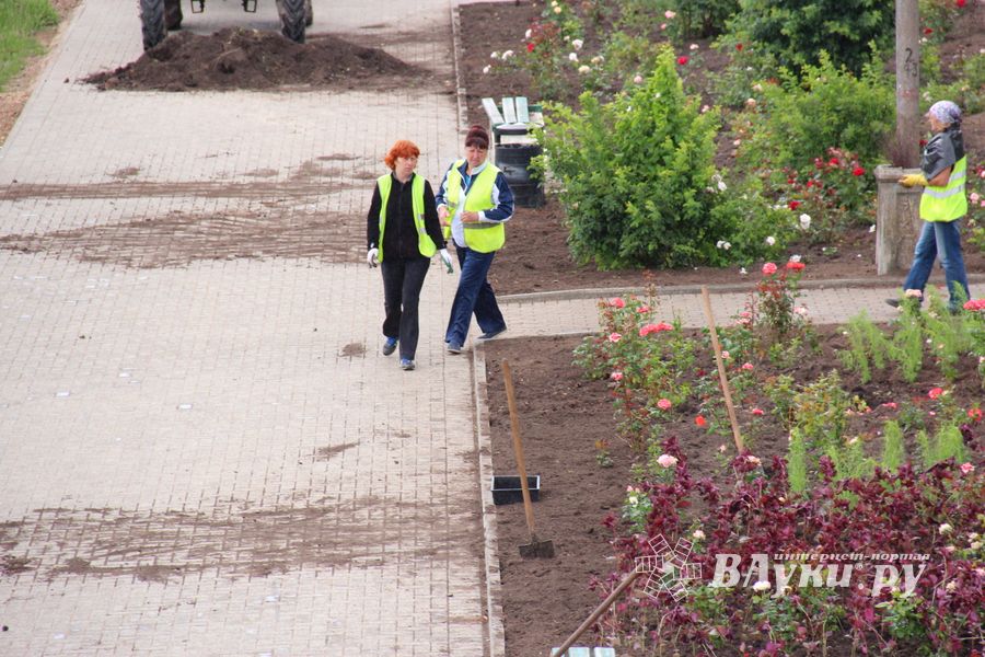 В Великих Луках сажают, стригут и красят (ФОТО)