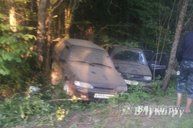 В Великолукском районе произошло ДТП (фото)