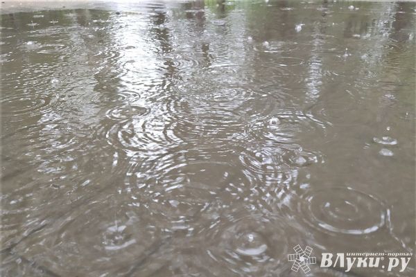 Сегодня в Великих Луках ожидается дождь