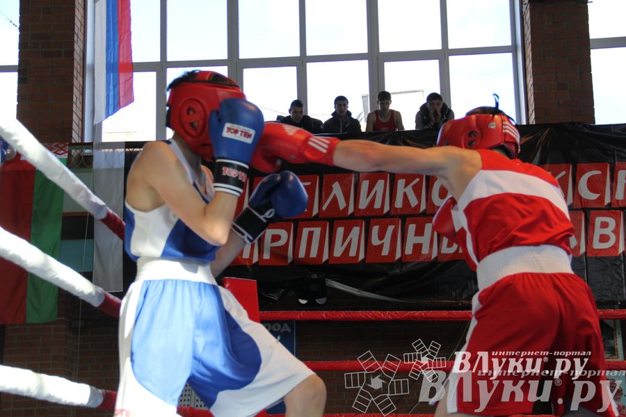 3-й день соревнований Международного турнира по боксу