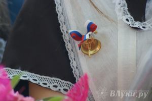 Последний звонок. Лицей №11.