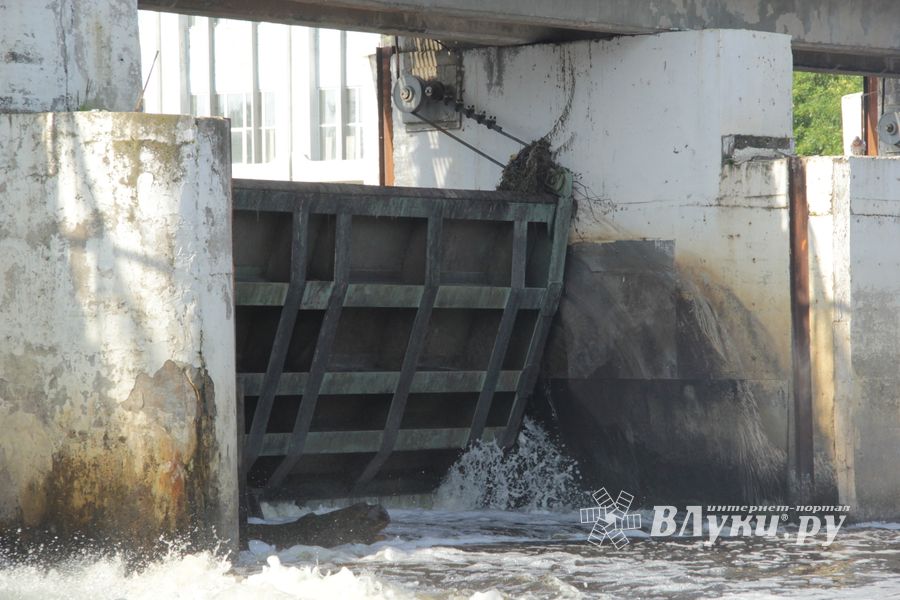 В Великих Луках обнаружили тело мужчины, который утонул 21 августа (ФОТО)