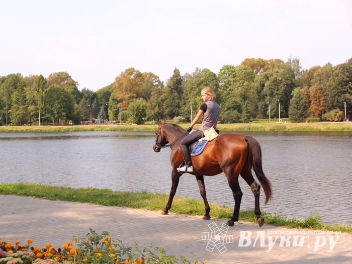 Великие Луки празднуют День города (ФОТО)