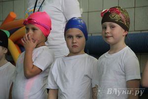 В Великих Луках прошли соревнования по плаванию «Весёлый дельфин» 