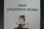 День правовой помощи детям организовали полицейские в Себежском районе (фото)