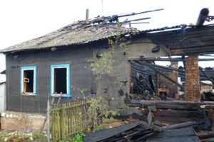 В Локне на пожаре погиб человек (фото)