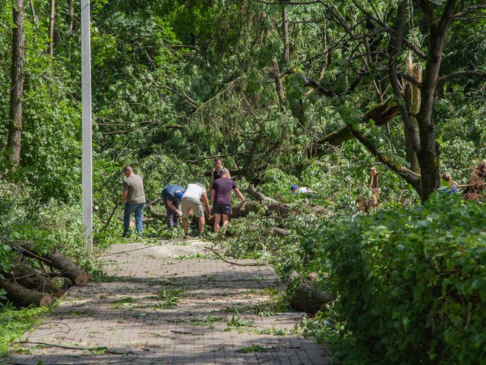Небезразличные онвеликолучане помогают убрать город после урагана (ФОТО)