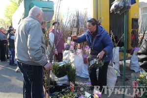 Традиционная весенняя ярмарка прошла в Великих Луках