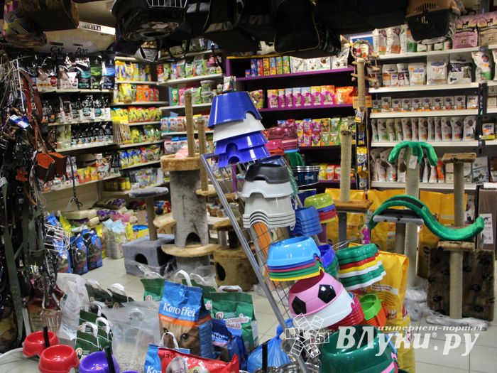 «Zooбастики»: подарите праздник своим любимцам! (ФОТО+ВИДЕО)