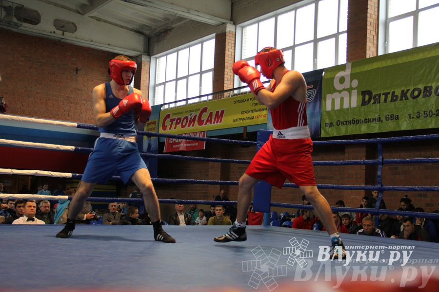 16-й Международный турнир по боксу (фото)