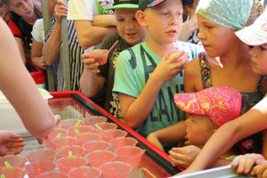 В городском парке Великих Лук прошёл День мороженого