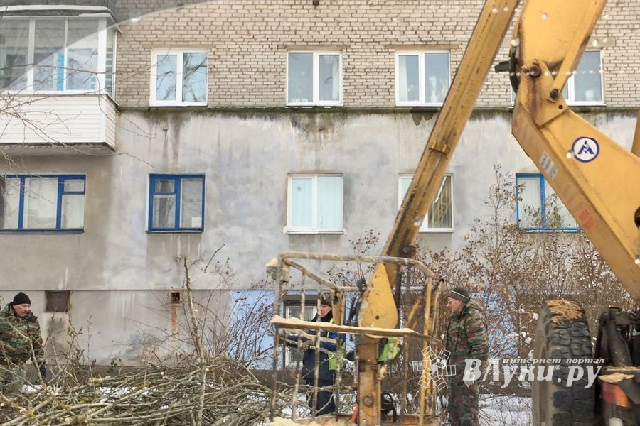 На Нелидовском проезде «омолаживают» тополя (ФОТО)