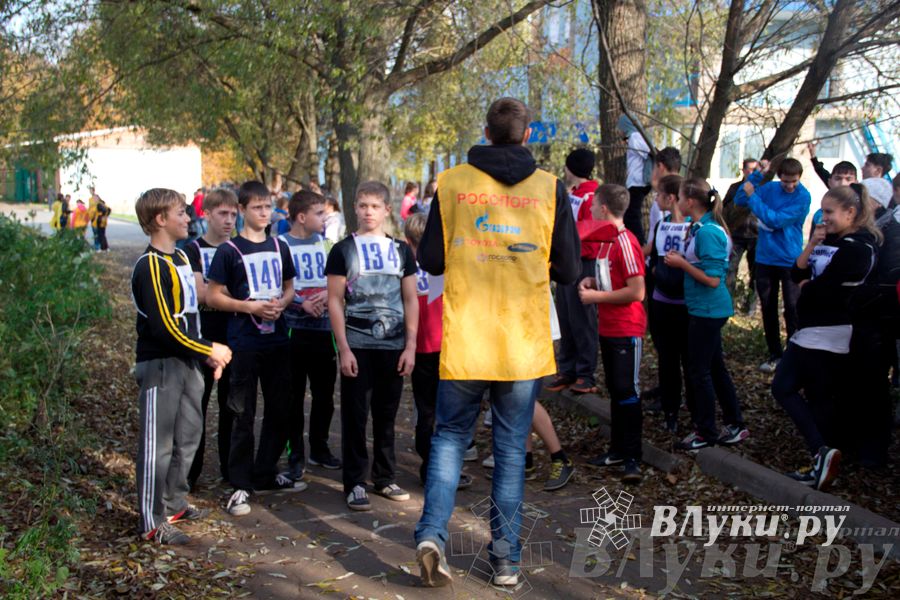 В Великих Луках прошел «Осенний кросс» 