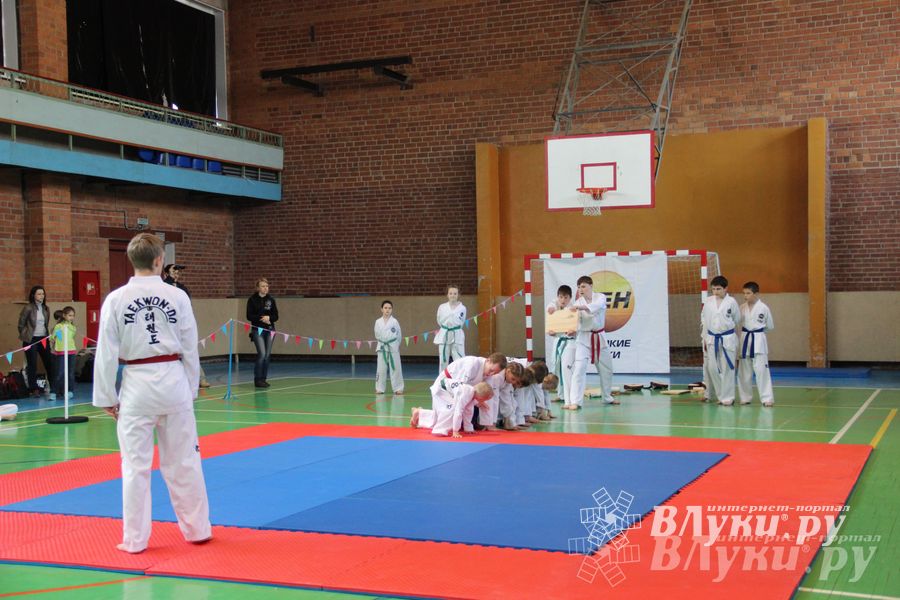 В Великих Луках прошло Первенство по тхэквондо (фото)