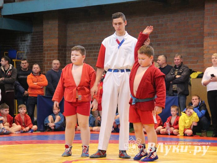 Открытый турнир по самбо «Новогодняя звезда-2019» прошел в Великих Луках (ФОТО)