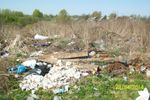 ​Великолучане продолжают жаловаться на свалки (ФОТО)