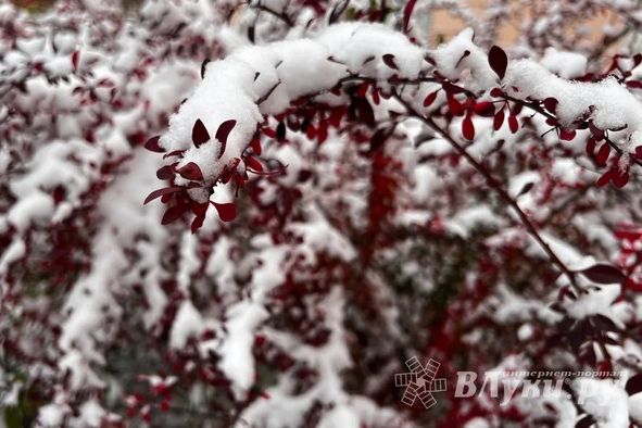 Прогноз погоды в Великих Луках на 11 декабря