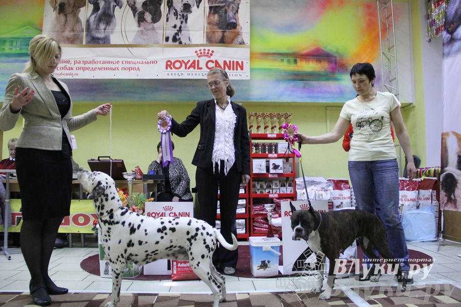 Всероссийская выставка собак «Великие Луки — 2014»