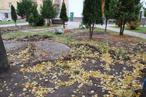 Куда исчезли пихты у Свято-Вознесенского собора в Великих Луках