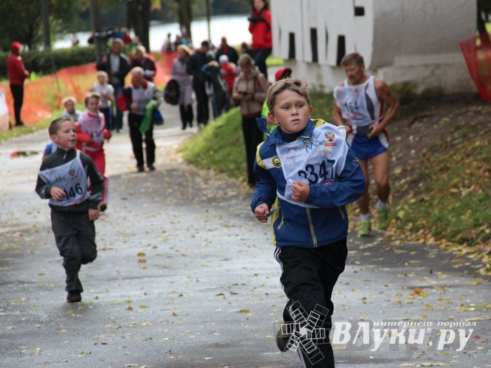 Кросс нации