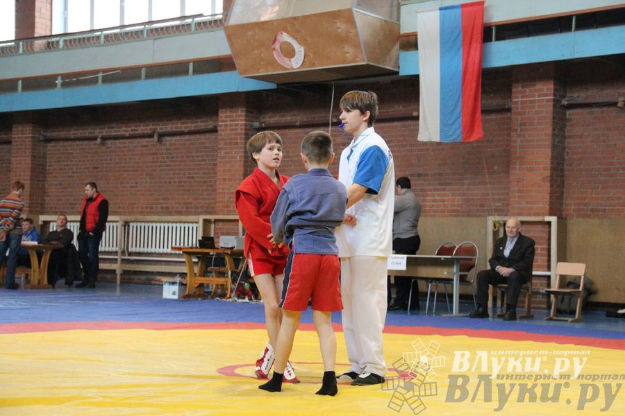 Состоялось Открытое первенство города Великие Луки по борьбе самбо