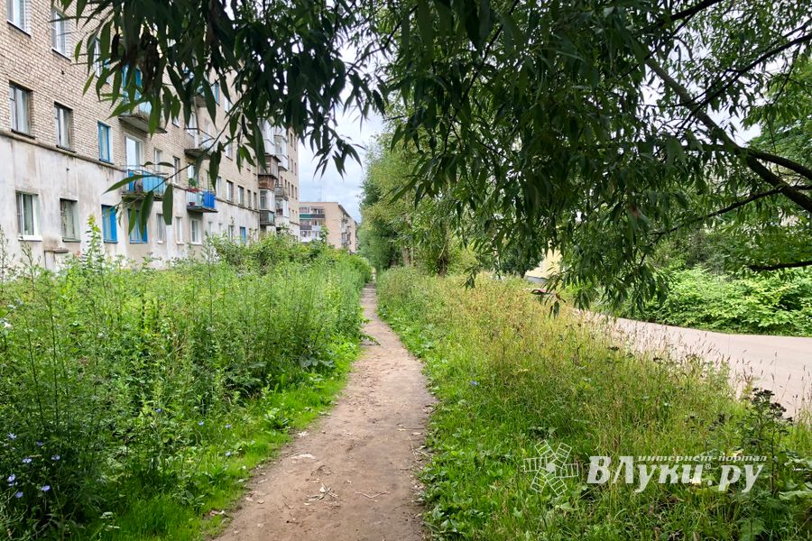 Пешеходом в Великих Луках быть трудно (ФОТО)