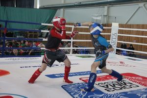 В Великих Луках завершилось Первенство России среди юношей по смешанному боевому единоборству ММА (ФОТО)