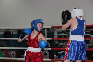 Открытое первенство по боксу прошло в Великих Луках (ФОТО)