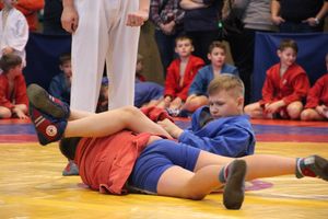 Открытый турнир по самбо «Новогодняя звезда-2019» прошел в Великих Луках (ФОТО)