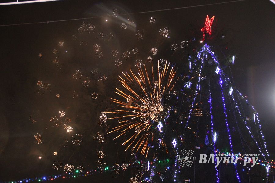 Дождик не помешал открытию городской ёлки (ФОТО)