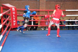 I Открытый кубок Псковской области по тайскому боксу прошел в Великих Луках (ФОТО)