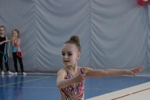 ​В Великих Луках проходят соревнования по художественной гимнастике (ФОТО) (6+)