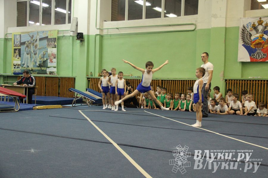 В Великих Луках состоялось Первенство по командной гимнастике (фото)