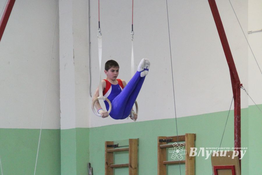 В Великих Луках прошел турнир по спортивной гимнастике (фото)