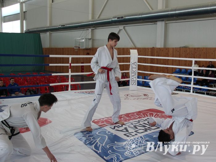 В Великих Луках проходит открытый кубок по смешанному боевому единоборству ММА (ФОТО) (12+)