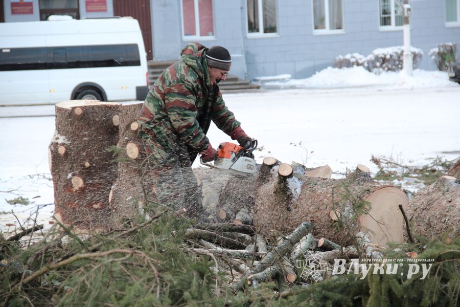 Главная городская ёлка отправилась на свалку (ФОТО)