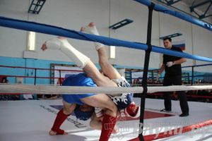Чемпионат Псковской области по ММА